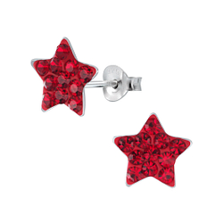 Silver Star Stud Earrings - 2028
