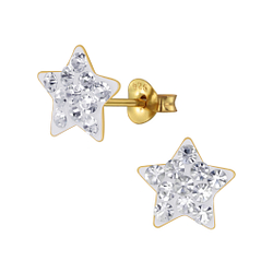 Silver Star Crystal Stud Earrings - 3141