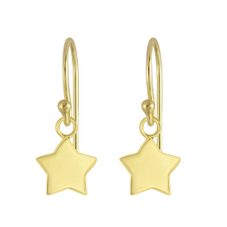 Silver Star Earrings - 5189