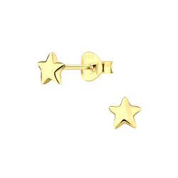 Silver Star Stud Earrings - 6486