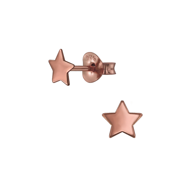 Silver Star Stud Earrings - 2143