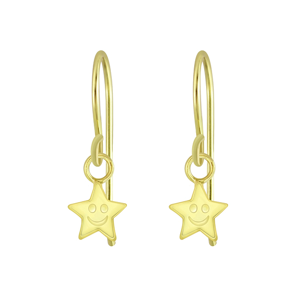 Silver Star Earrings - 5742