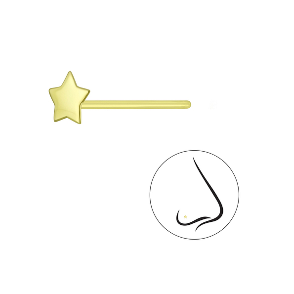 Silver Star Nose Stud - 5733