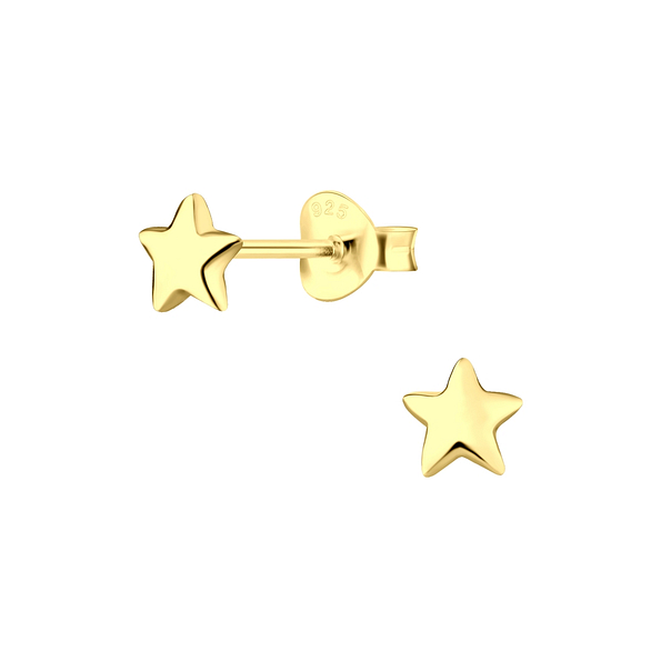 Silver Star Stud Earrings - 6486