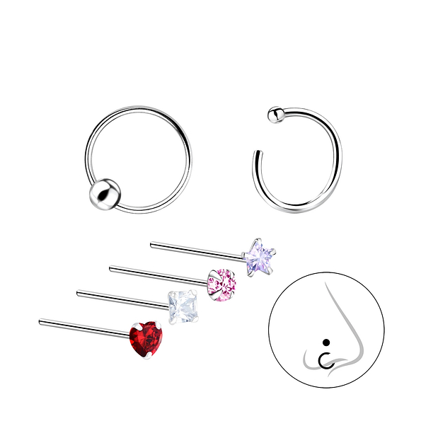 Silver Mixed Nose Jewelry Set - 10031