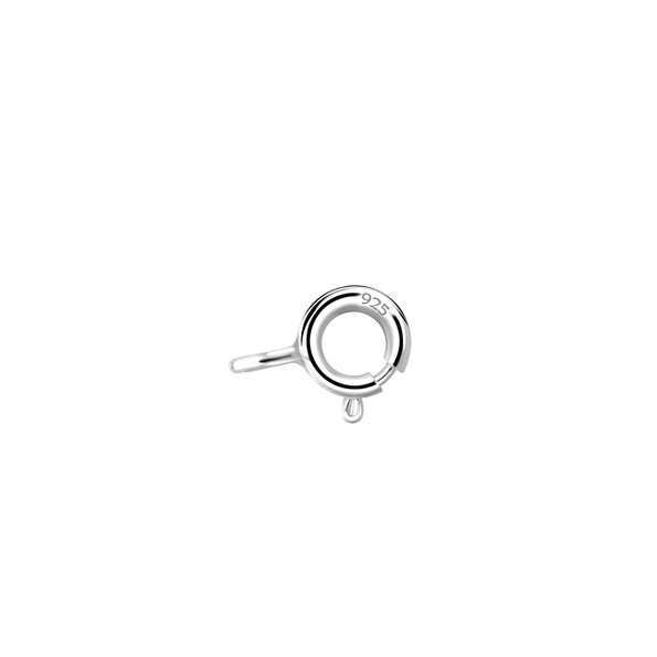 Silver Spring Lock - Pack of 10 - 21343